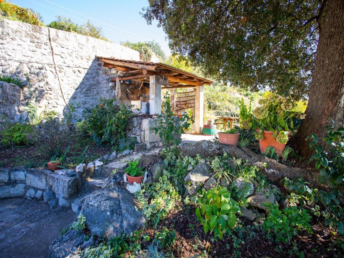 Country House Bakicevo Čilipi Стая снимка