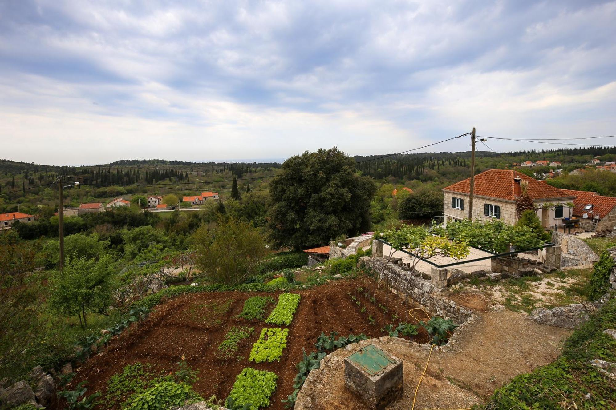 Country House Bakicevo Čilipi Екстериор снимка