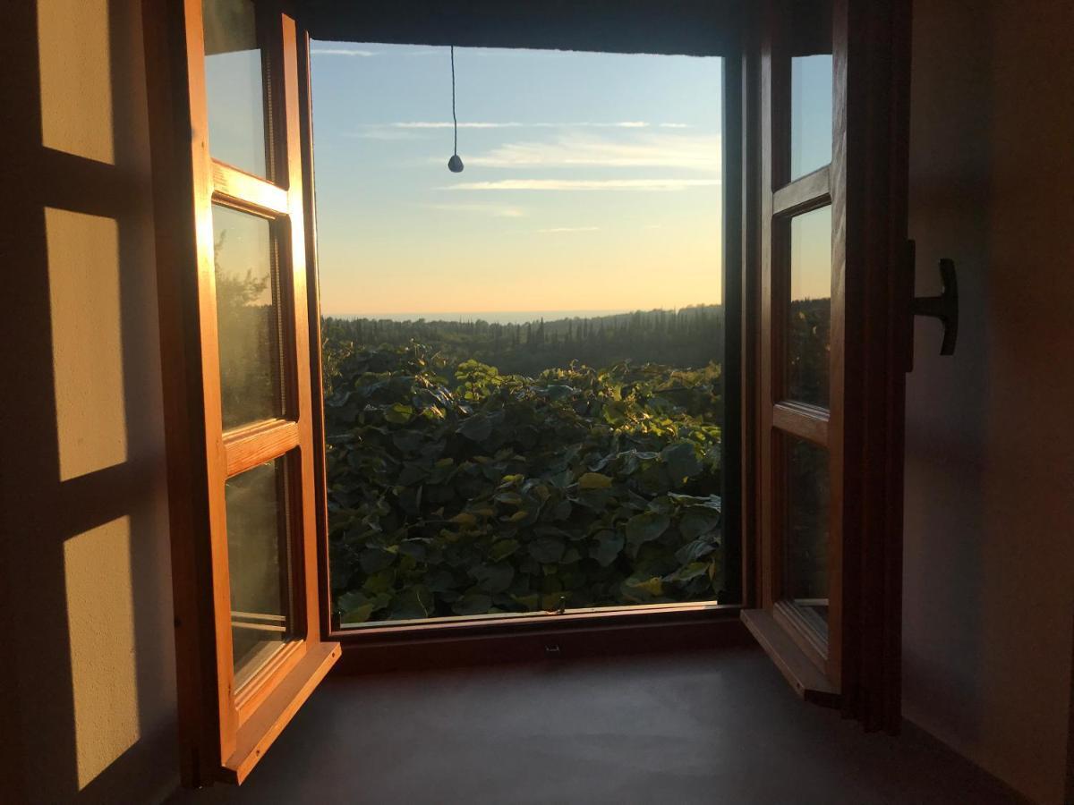 Country House Bakicevo Čilipi Екстериор снимка